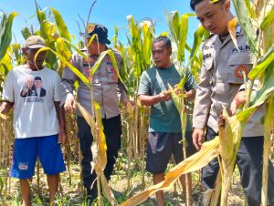 Polresta Sidoarjo Gelorakan Swasembada Pangan Melalui Program P2B
